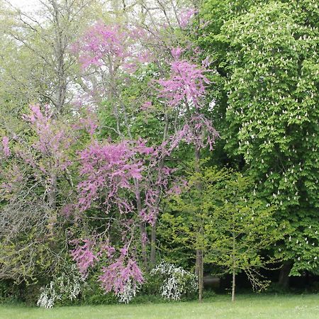 Gite Le Haut Perche, 4 Personnes Saint-Gervais-la-Forêt Εξωτερικό φωτογραφία