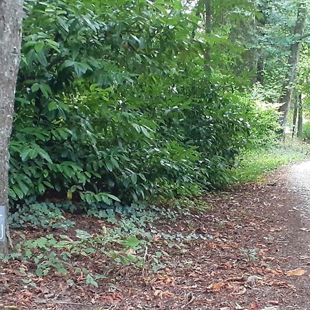 Gite Le Haut Perche, 4 Personnes Saint-Gervais-la-Forêt Εξωτερικό φωτογραφία